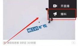 爆料视频怎样拍,如何捕捉精彩瞬间