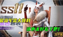 军需大爆料视频